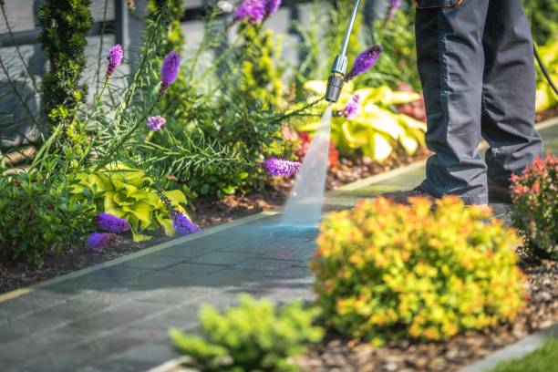 Best Driveway Pressure Washing  in Point Of Rocks, MD